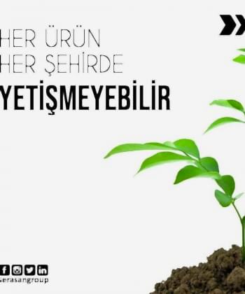 seranizda-neler-uretebilirsiniz