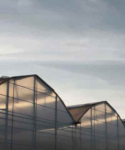 adalya-sera-2.etap-kurulum