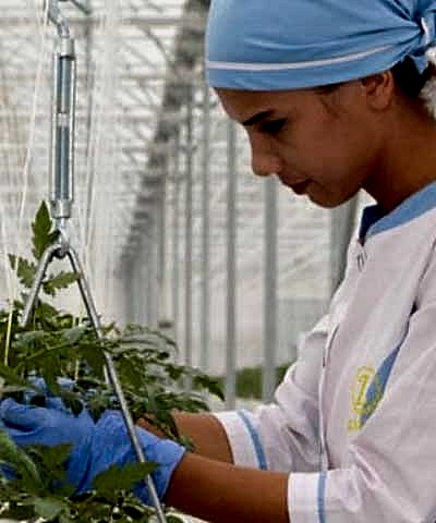 ozbekistan-sera-projemizden-kareler.