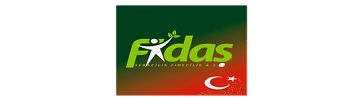 FİDAŞ FİDE