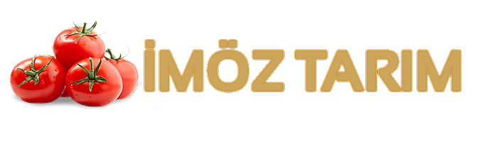 İMÖZ TARIM