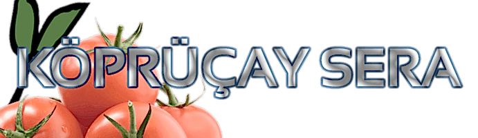 KÖPRÜÇAY SERA