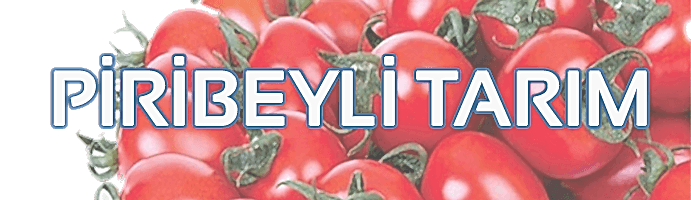 PİRİBEYLİ TARIM