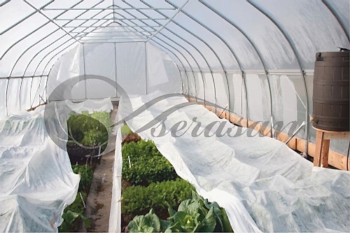 Dezenfeksiyon Örtüleri