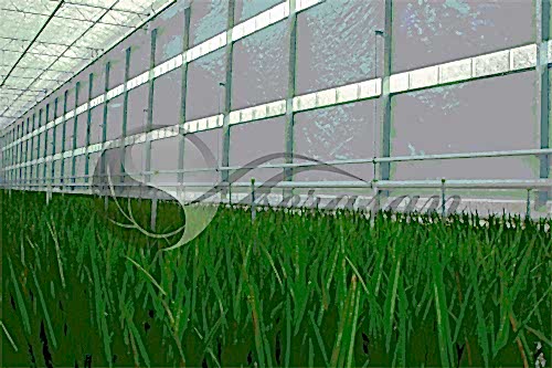 Yan Duvar Termal Perde